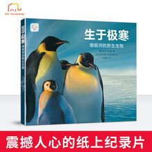 生于极寒:南极洲的野生生物