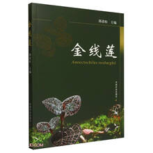 金线莲