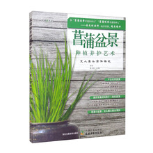 菖蒲盆景种植养护艺术:文人案头清供雅玩
