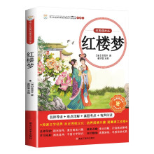 青少年经典名著美绘版文库（彩图精批版）红楼梦