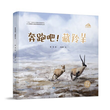 三江源国家公园自然教育系列丛书·奔跑吧!藏羚羊