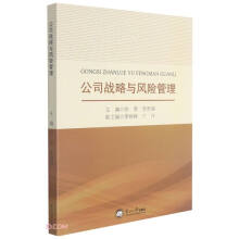 公司战略与风险管理