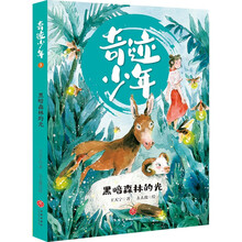 黑暗森林的光/奇迹少年（共4册）
