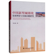 中国新型城镇化发展理论与实践问题研究
