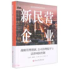 新民营企业：战略管理创新、公司治理提升与法律风险控制