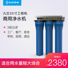 九芯