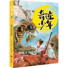 风原上的守护神/奇迹少年（共4册）