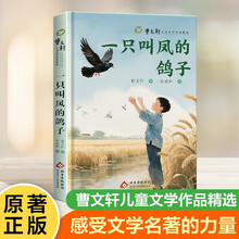 中阅 曹文轩儿童文学作品精选.一只叫凤的鸽子