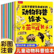 让孩子感受生命成长的动物科普绘本 全套8册 动物自然物语少年科普百科全书