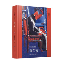 殷健灵儿童文学精装典藏文集-野芒坡