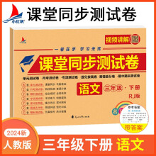 小红帆 小学课堂同步测试卷语文三年级下册人教版RJ 单元测试专项测试期中期末测试卷