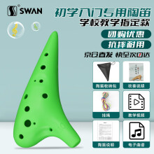 天鹅（SWAN）陶笛12孔AC中音C调树脂塑料儿童初学入门教学乐器学校专用绿色