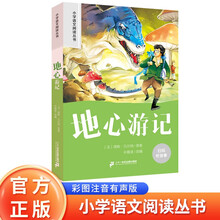 地心游记 彩绘注音官方正版新版新课标小学语文阅读丛书第十二辑 儿童文学经典读物小学生课外书