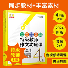 丁丁老师教作文系列--特级教师作文功底课  小学4年级