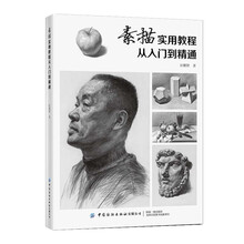 素描实用教程:从入门到精通