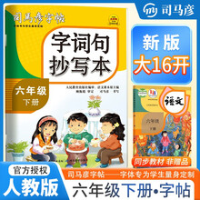 大16开-骑-字词句抄写本·六年级（下册）