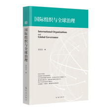 国际组织与全球治理