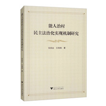 能人治村民主法治化实现机制研究