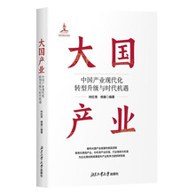 大国产业—中国产业现代化转型升级与时代机遇