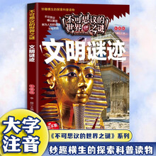 不可思议的世界未解之谜 文明谜迹