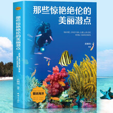 那些惊艳绝伦的美丽潜点