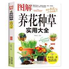 图解养花种草实用大全 图解方法掌握家庭养花百科养花种草常识一本