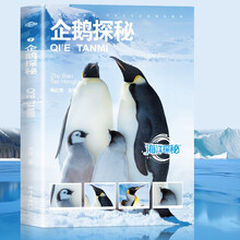 企鹅探秘