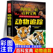 我的第一套百科宝典-动物追踪 小学生三四五六年级阅读课外书必读 青少儿科普读物