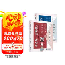 大师家书•致少年（全2册）150封家书教孩子学习有道读书有法思辨有术 15种学习核心策略15类情绪困扰难题