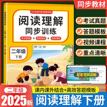 阅读理解同步训练 二年级 下册 阅读理解强化训练课内外同步公式法阅读答题技巧小学生