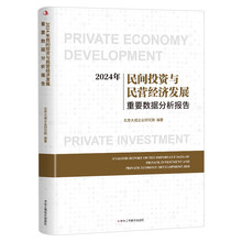 2024年民间投资与民营经济发展重要数据分析报告