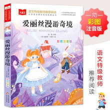 爱丽丝漫游奇境 彩图注音儿童文学 一二三年级课外阅读书必读世界经典文学少儿名著童话故事书 大语文系列 小学语文课外阅读经典丛书