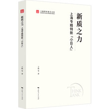 新质之力：上海专精特新“小巨人”