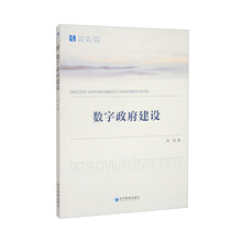 数字政府建设