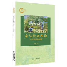 家与社会理论：中国角度的阐释