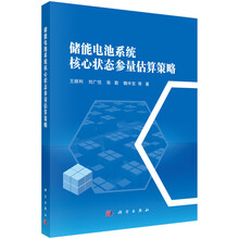 储能电池系统核心状态参量估算策略