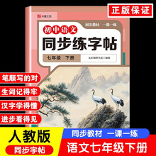 初中语文同步练字帖七年级下册(定制版)初中生专用中学生每日一练