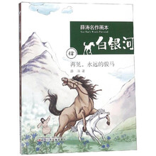 再见,永远的骏马/白银河.薛涛名作画本