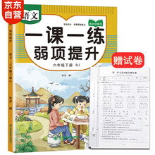 六年级下册人教部语文教材同步 一课一练弱项提升 随堂练课时同步练习册课堂作业本课课练