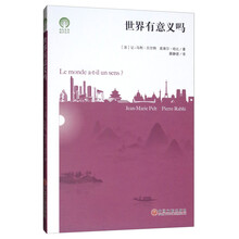 世界有意义吗
