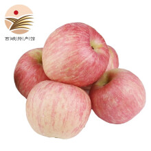 静益乐源洛川红富士苹果 陕西洛川富士苹果 新鲜水果 6枚装果径70mm+