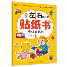 左右脑开发贴纸书.专注力贴纸