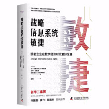 战略信息系统敏捷—赋能企业在数字经济时代更好发展