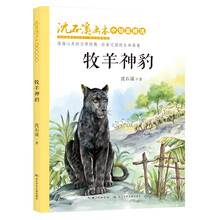 牧羊神豹,沈石溪画本·中短篇精选,全彩美绘版