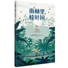 雨林里，枝叶间（让孩子从雨林的勃勃生机中汲取向上的生命力量）