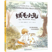新东方 小书虫国际大奖小说(第1辑)绒毛小兔