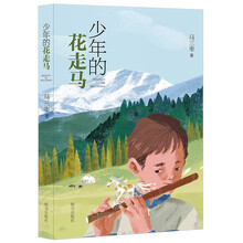 少年的花走马
