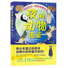 夜间动物图鉴：与白天不一样的有趣生态