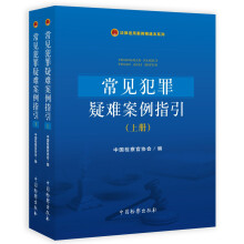 法律适用案例精通本系列--常见犯罪疑难案例指引（上下册）