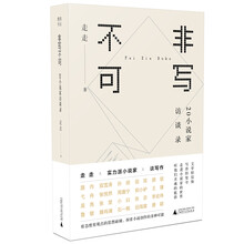 非写不可：20小说家访谈录